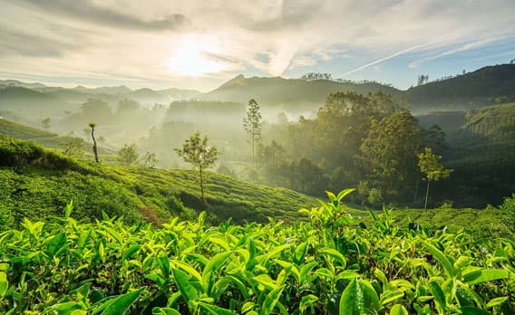THEKKADY